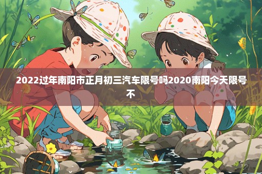2022过年南阳市正月初三汽车限号吗2020南阳今天限号不