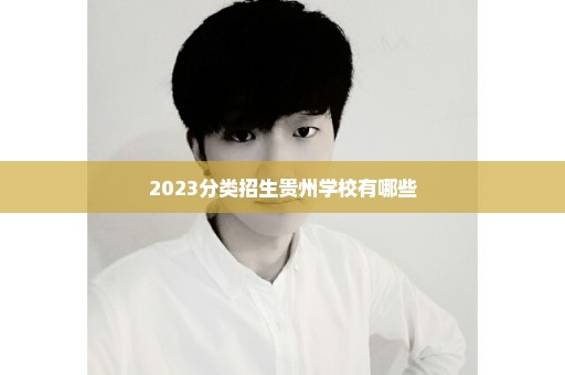 2023分类招生贵州学校有哪些