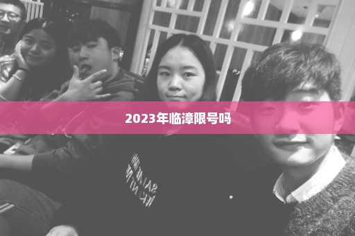 2023年临漳限号吗