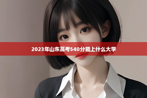 2023年山东高考540分能上什么大学