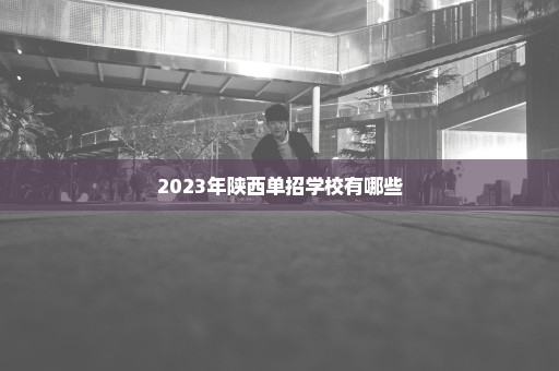2023年陕西单招学校有哪些