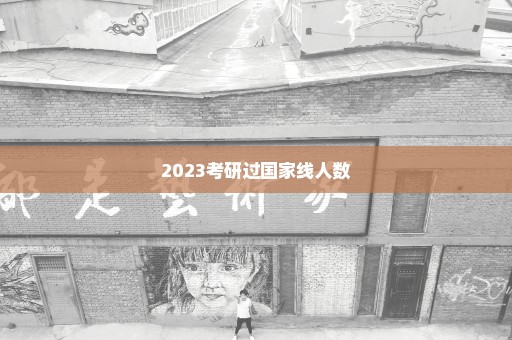 2023考研过国家线人数