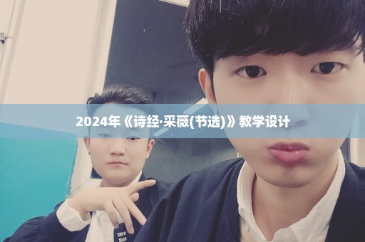 2024年《诗经·采薇(节选)》教学设计