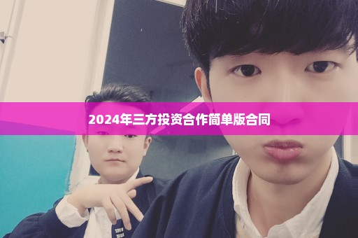 2024年三方投资合作简单版合同
