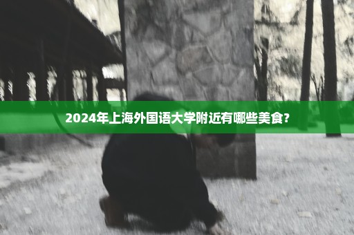 2024年上海外国语大学附近有哪些美食？