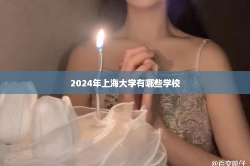 2024年上海大学有哪些学校