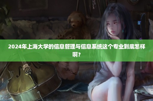 2024年上海大学的信息管理与信息系统这个专业到底怎样啊？