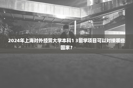 2024年上海对外经贸大学本科1+3留学项目可以对接哪些国家？