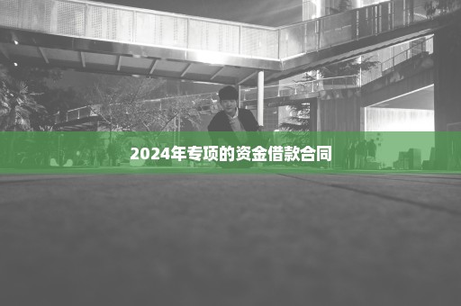 2024年专项的资金借款合同