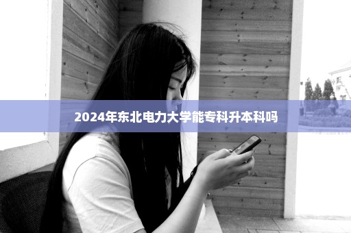 2024年东北电力大学能专科升本科吗