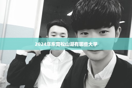 2024年东莞松山湖有哪些大学
