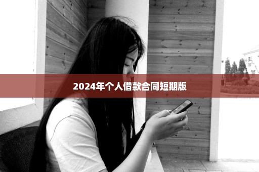 2024年个人借款合同短期版