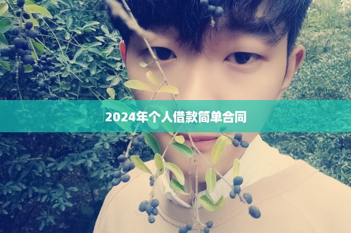 2024年个人借款简单合同