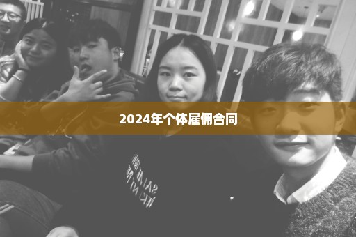2024年个体雇佣合同