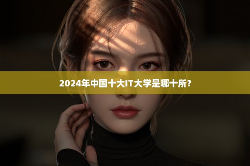 2024年中国十大IT大学是哪十所？