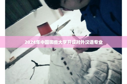 2024年中国哪些大学开设对外汉语专业