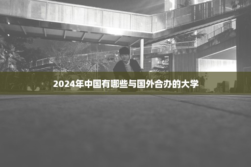 2024年中国有哪些与国外合办的大学