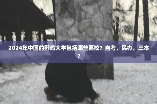 2024年中国的野鸡大学包括哪些高校？自考，民办，三本？