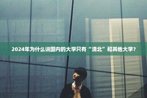 2024年为什么说国内的大学只有“清北”和其他大学？