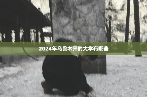 2024年乌鲁木齐的大学有哪些