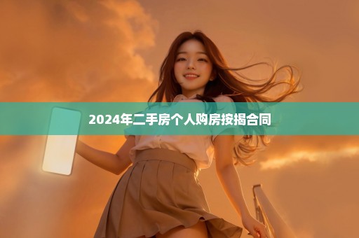 2024年二手房个人购房按揭合同