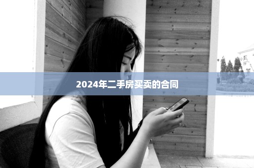 2024年二手房买卖的合同