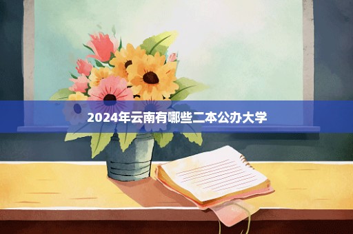 2024年云南有哪些二本公办大学