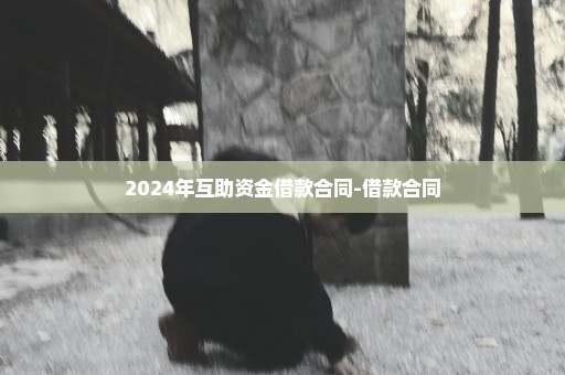 2024年互助资金借款合同-借款合同