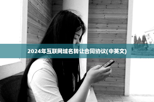 2024年互联网域名转让合同协议(中英文)