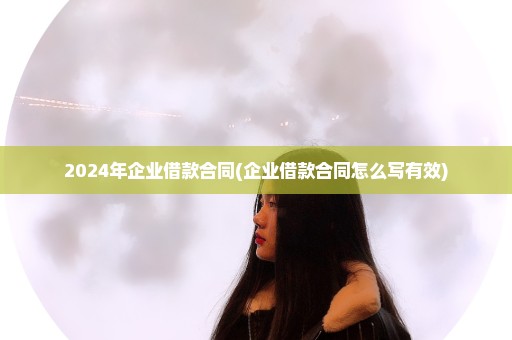 2024年企业借款合同(企业借款合同怎么写有效)