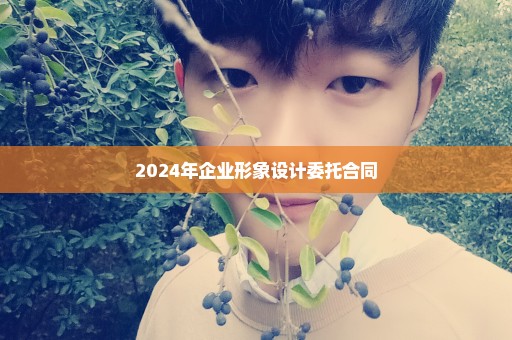 2024年企业形象设计委托合同