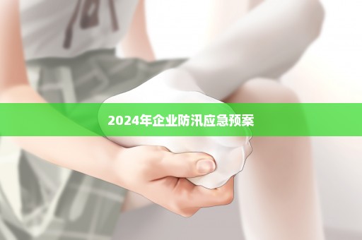 2024年企业防汛应急预案