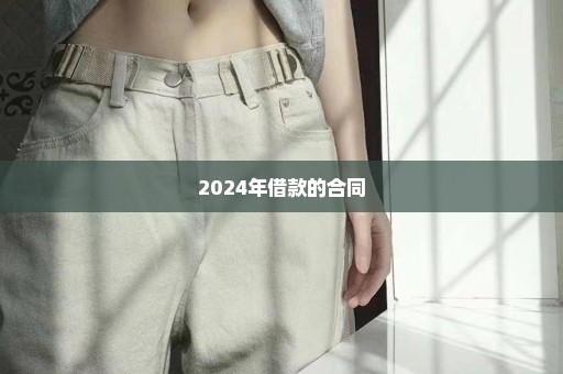 2024年借款的合同