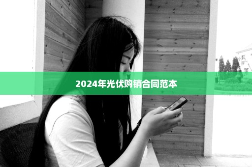 2024年光伏购销合同范本
