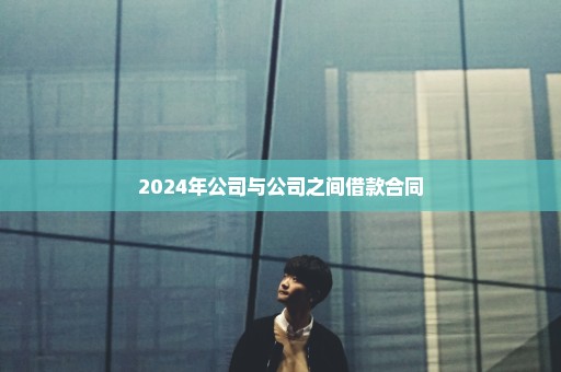 2024年公司与公司之间借款合同