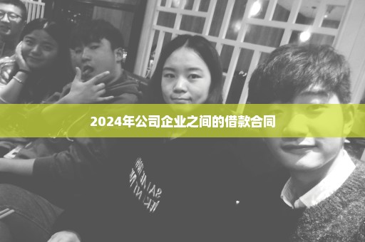 2024年公司企业之间的借款合同
