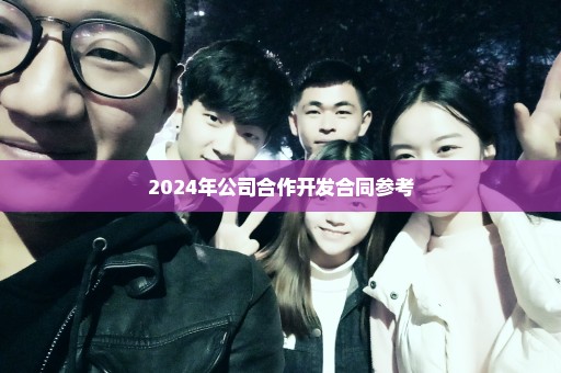 2024年公司合作开发合同参考