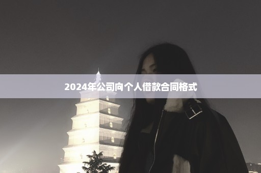 2024年公司向个人借款合同格式