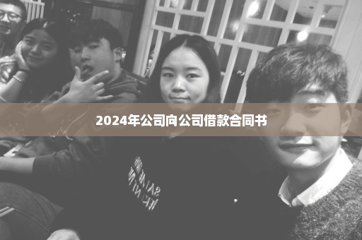 2024年公司向公司借款合同书