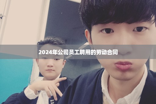 2024年公司员工聘用的劳动合同