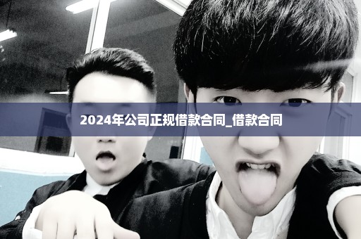 2024年公司正规借款合同_借款合同