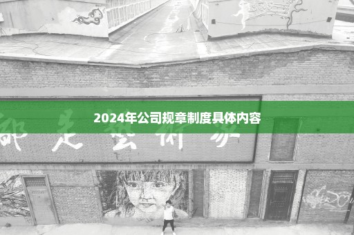 2024年公司规章制度具体内容