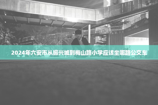 2024年六安市从振兴城到梅山路小学应该坐哪路公交车