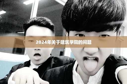 2024年关于建筑学院的问题