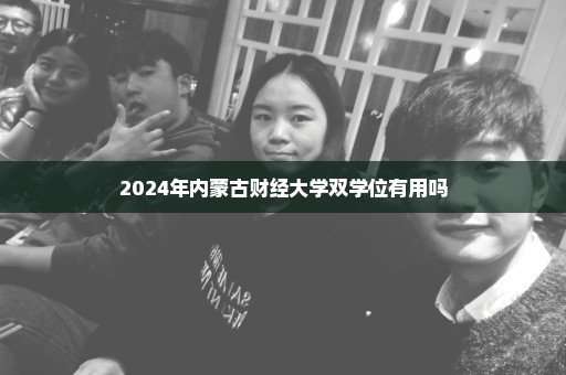 2024年内蒙古财经大学双学位有用吗