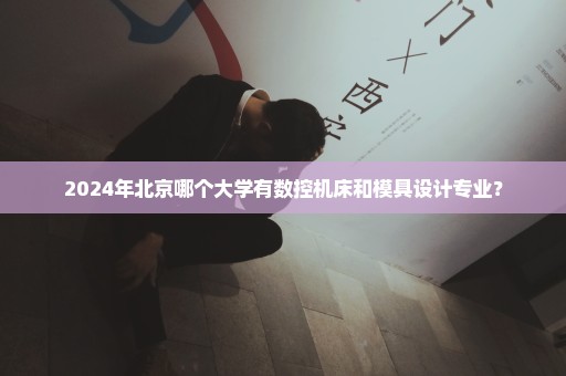 2024年北京哪个大学有数控机床和模具设计专业？