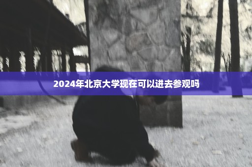 2024年北京大学现在可以进去参观吗