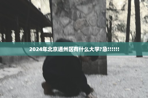 2024年北京通州区有什么大学?急!!!!!!