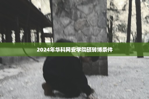 2024年华科网安学院硕转博条件