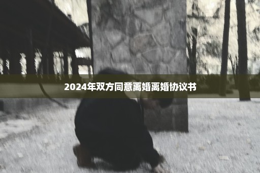 2024年双方同意离婚离婚协议书